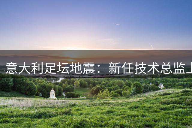 意大利足坛地震：新任技术总监上任仅半月恐离职